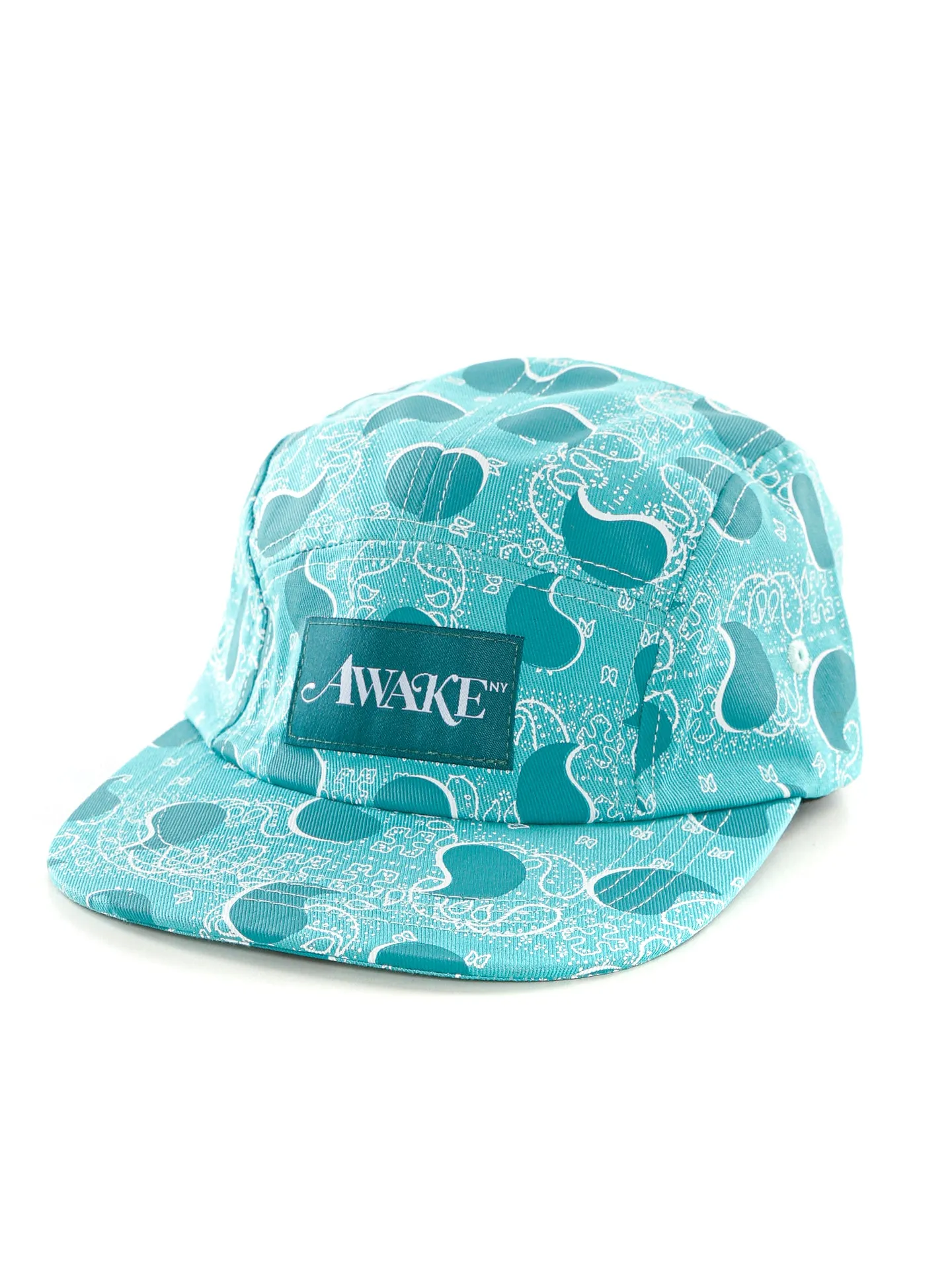 Big Paisley 5 Panel Cap