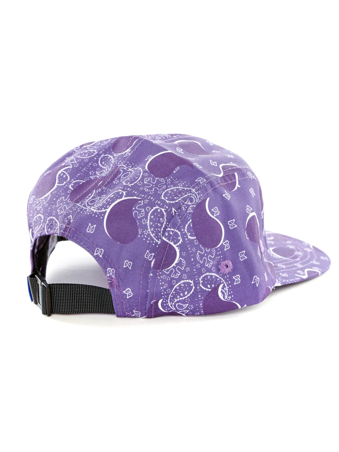 Big Paisley 5 Panel Cap