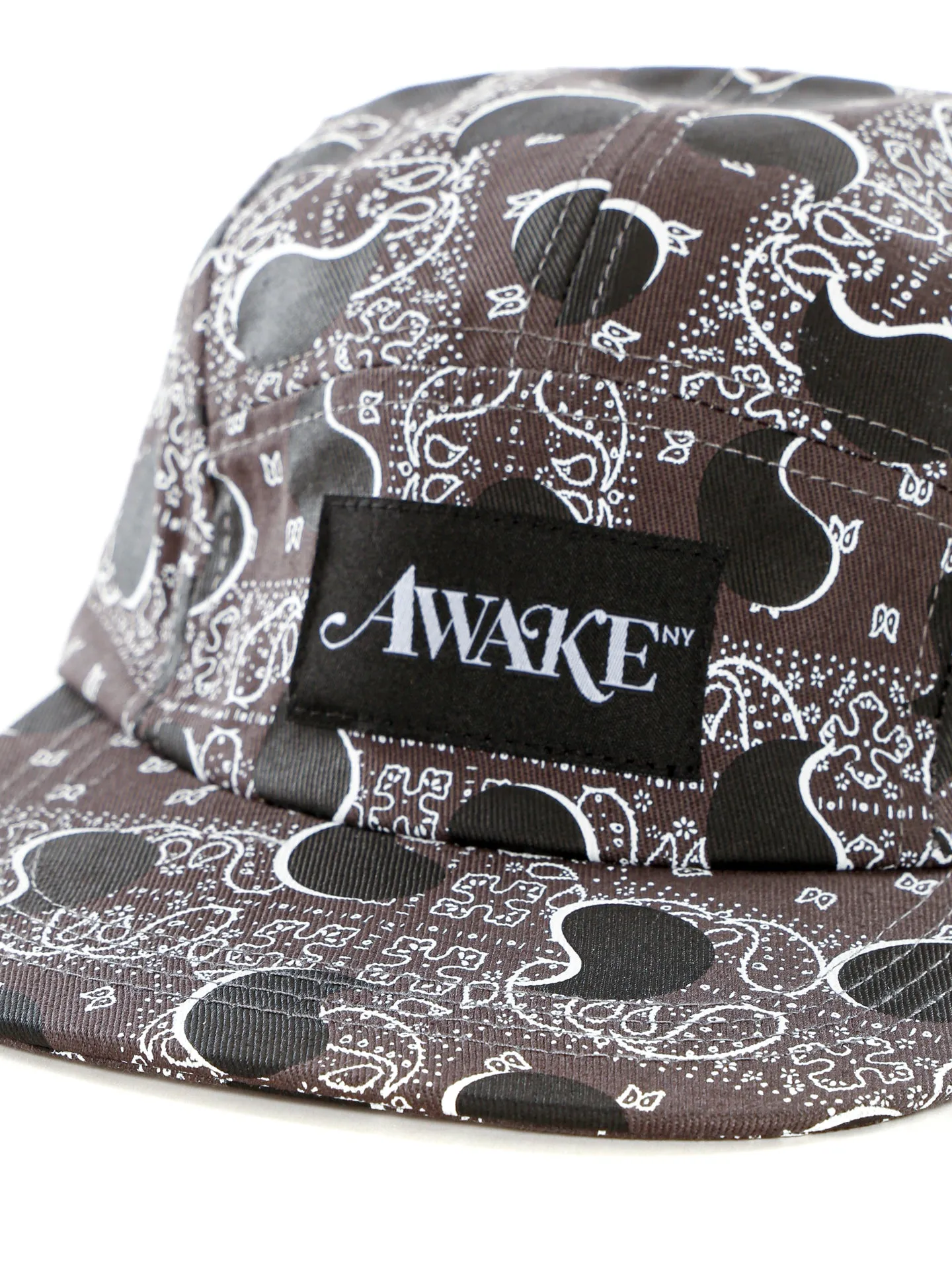 Big Paisley 5 Panel Cap