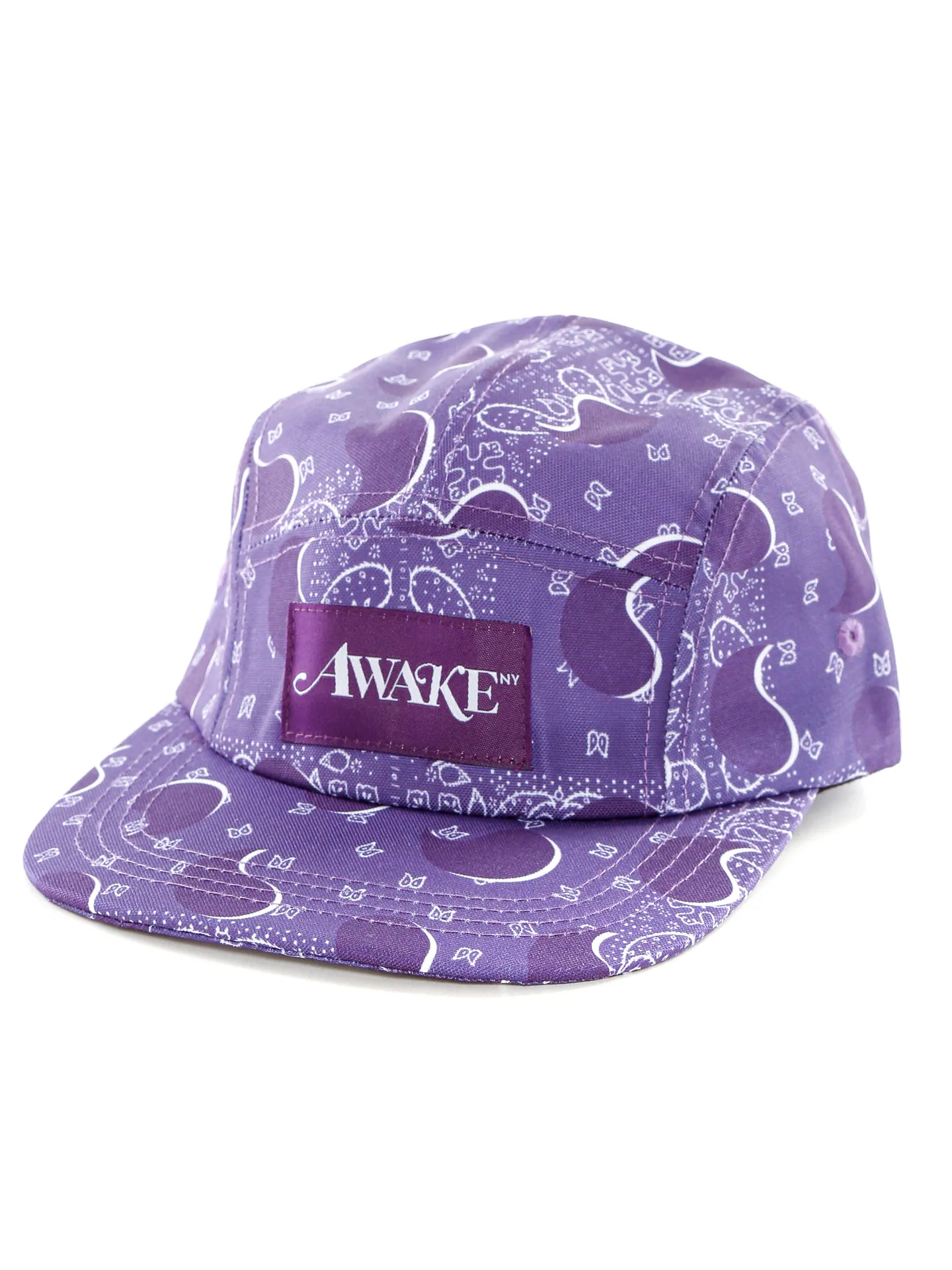 Big Paisley 5 Panel Cap