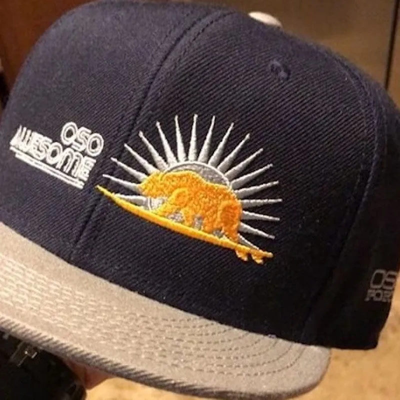 Sunshine Bear Snapback Hat